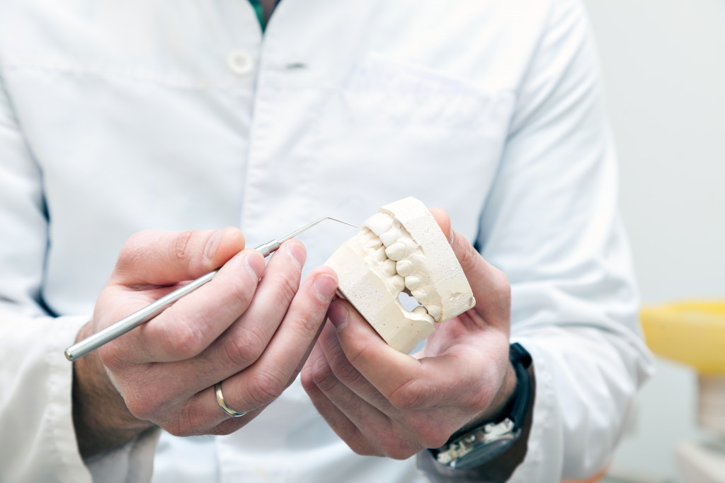 a dental professional holding a 3d cast of an oral structure