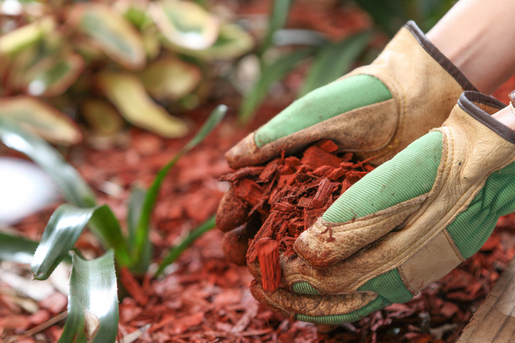 A person holding a handful of mulch